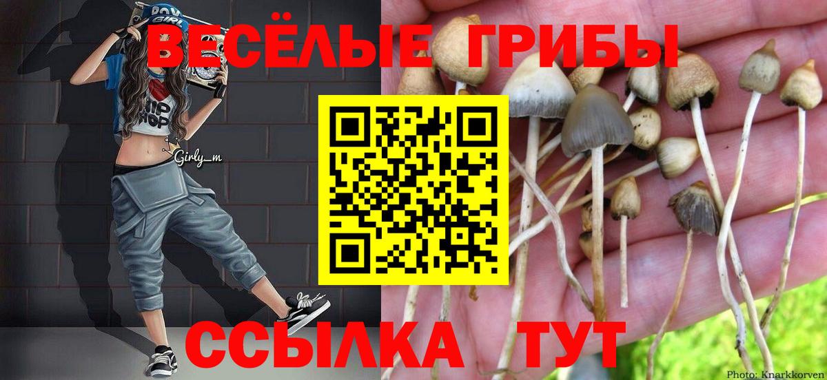 цена наркотик  Вход с VPN  Оренбург  Псилоцибиновые грибы Cubensis 